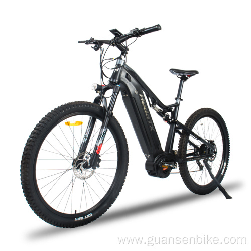 Aldult Electric Mountain Bike